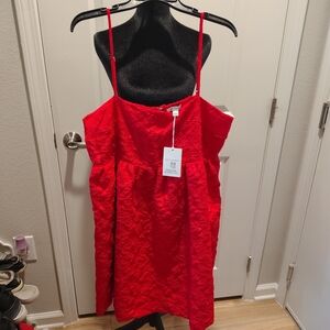 Free Assembly Red Lace Baby Doll Dress for Women - Sleeveless Party Dress